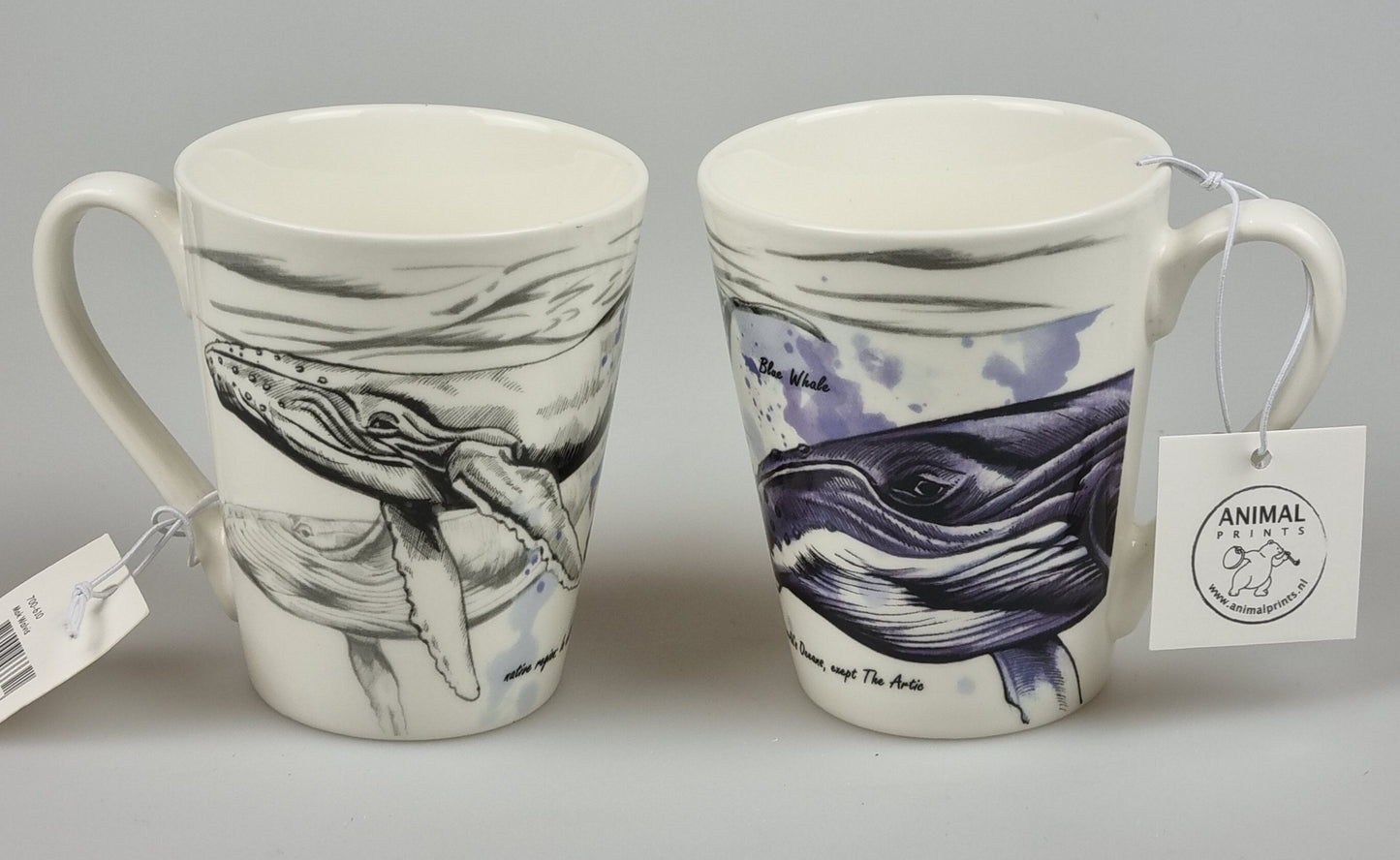 Sealife mug series