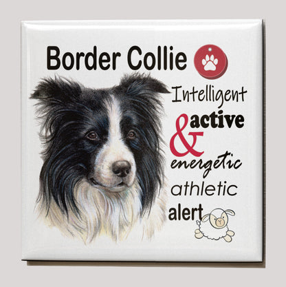 Koelkastmagneet - Border Collie