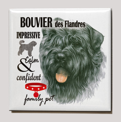 Koelkastmagneet - Bouvier