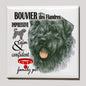 Koelkastmagneet - Bouvier