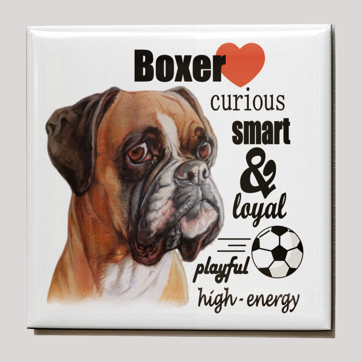 Koelkastmagneet - Boxer