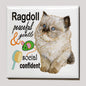 Koelkastmagneet - Ragdoll