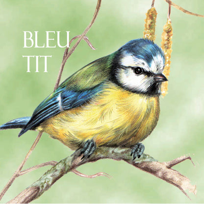 Koelkastmagneet - Pimpelmees / Bleu Tit
