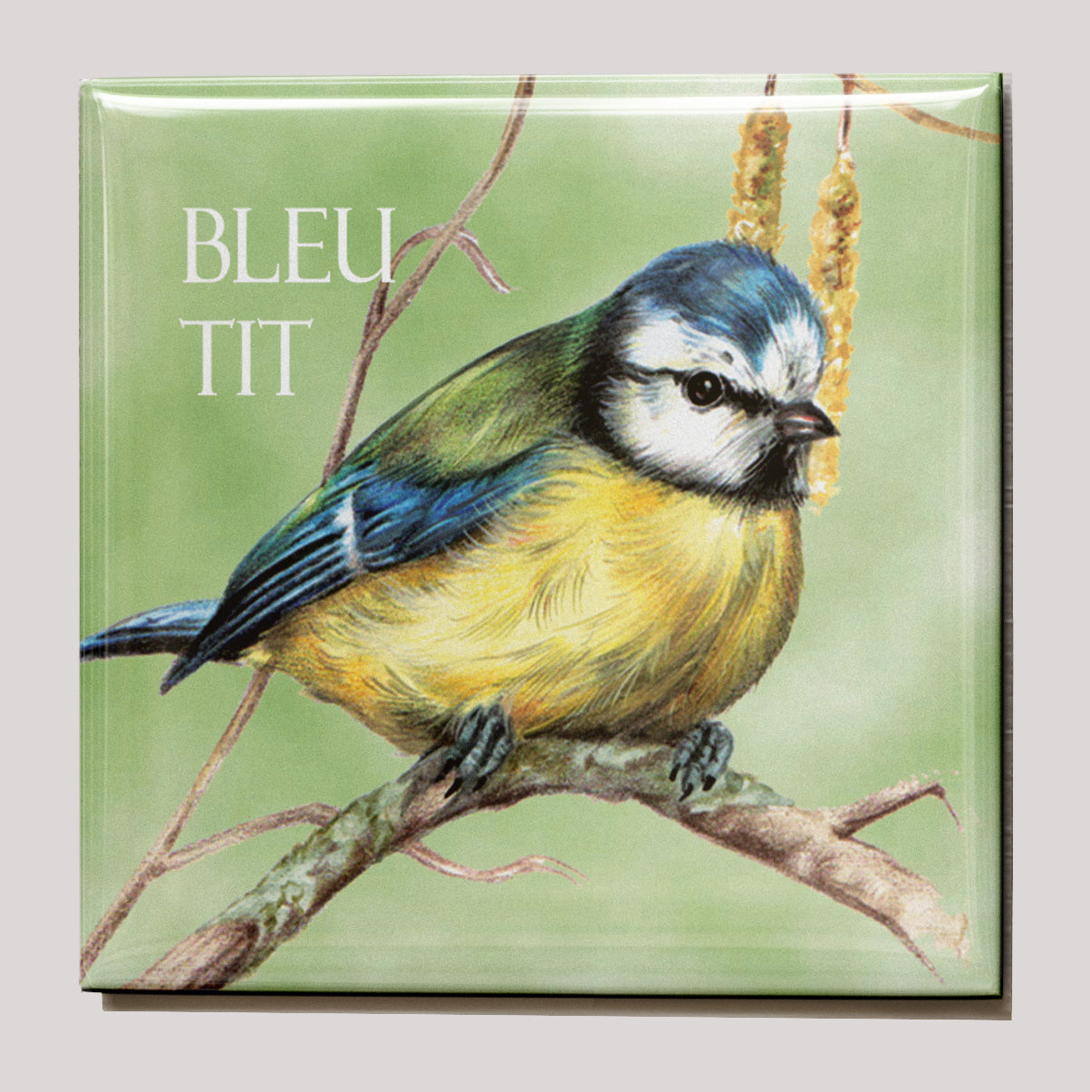 Koelkastmagneet - Pimpelmees / Bleu Tit