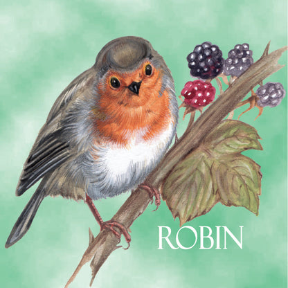 Koelkastmagneet - Roodborstje / Robin