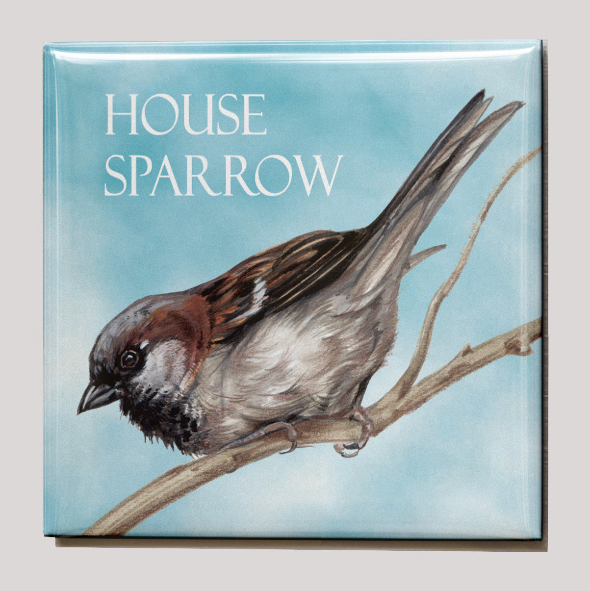 Koelkastmagneet - Huismus / House Sparrow