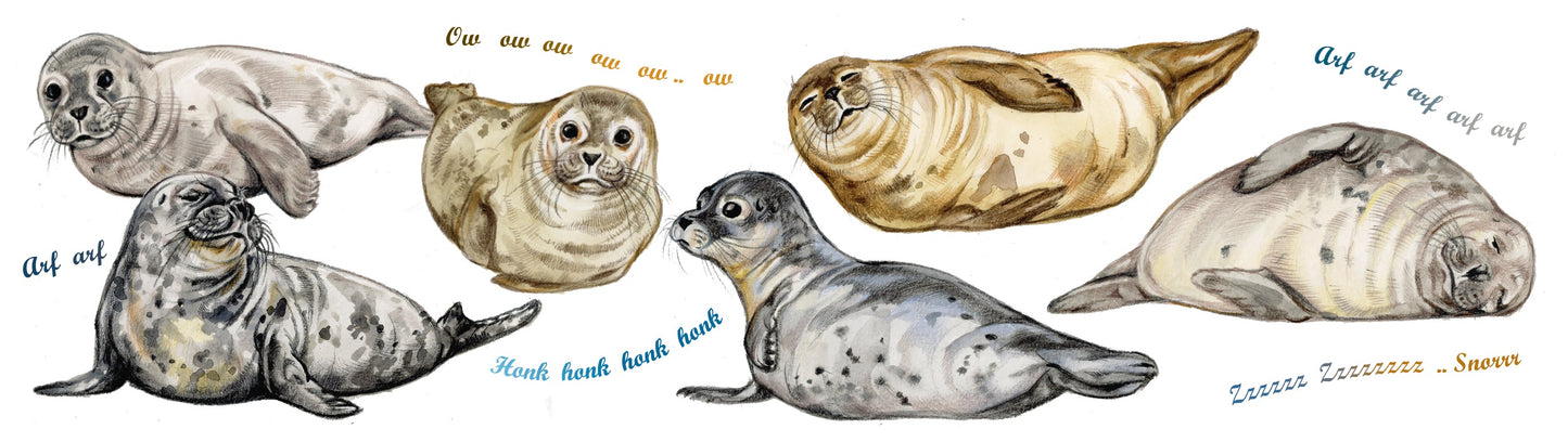 Mokken met collage - Zeehond
