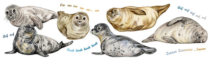 Mokken met collage - Zeehond