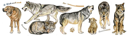 Mokken met collage - Wolf