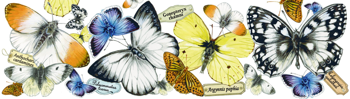 Mokken met collage - Vlinders