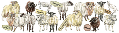 Mokken met collage - Schapen