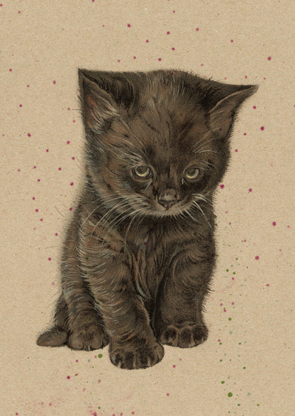 Kraftkaart A6 formaat (ansichtkaart) - kaart nummer 9 - Zwarte Kitten (per 5 stuks)