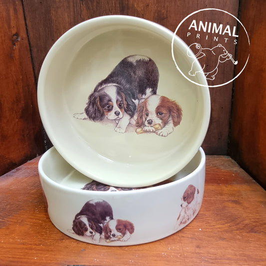 Voerbak Cavalier King Charles Spaniels
