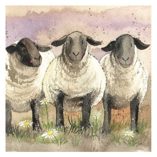 Alex Clark - Koelkast magneet - Schapen