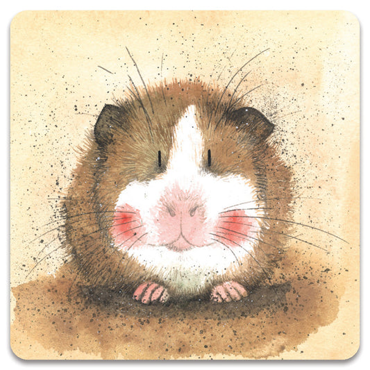Alex Clark - Koelkast magneet - Cavia