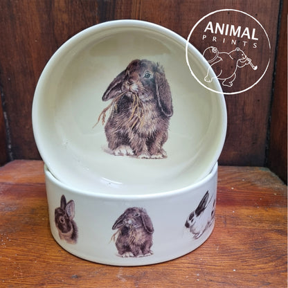 Feeder Rabbit