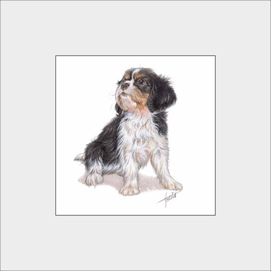Reproduktion „Cavalier King Charles Spaniels“.