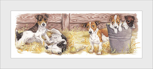 Reproduktion "Jack-Russell-Terrier-Collage".
