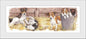 Reproduktion "Jack-Russell-Terrier-Collage".