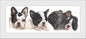 Reproduktion "Welpen der französischen Bulldogge".
