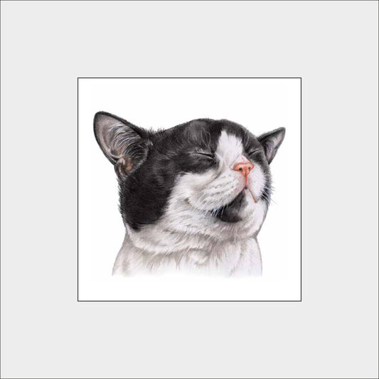 Reproduktion "Katzenkopf: