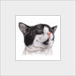 Reproduktion "Katzenkopf: