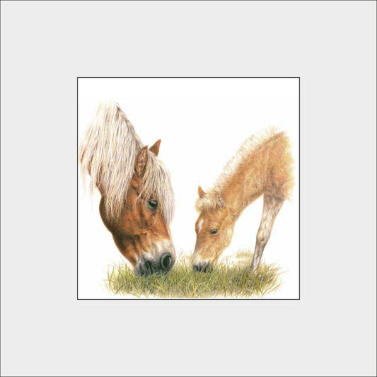 Reproduktion "Haflinger"