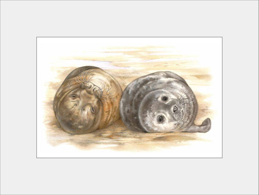 Reproduktion "2 Siegel".
