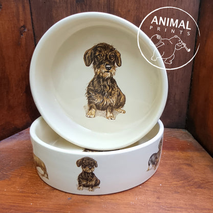 Feeder Dachshund