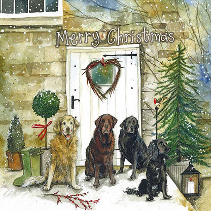 Alex Clark – Weihnachtskartenbox – Hund 