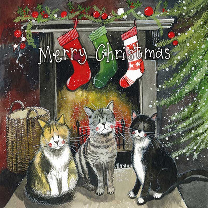 Alex Clark - Christmas Card Box - Cat 