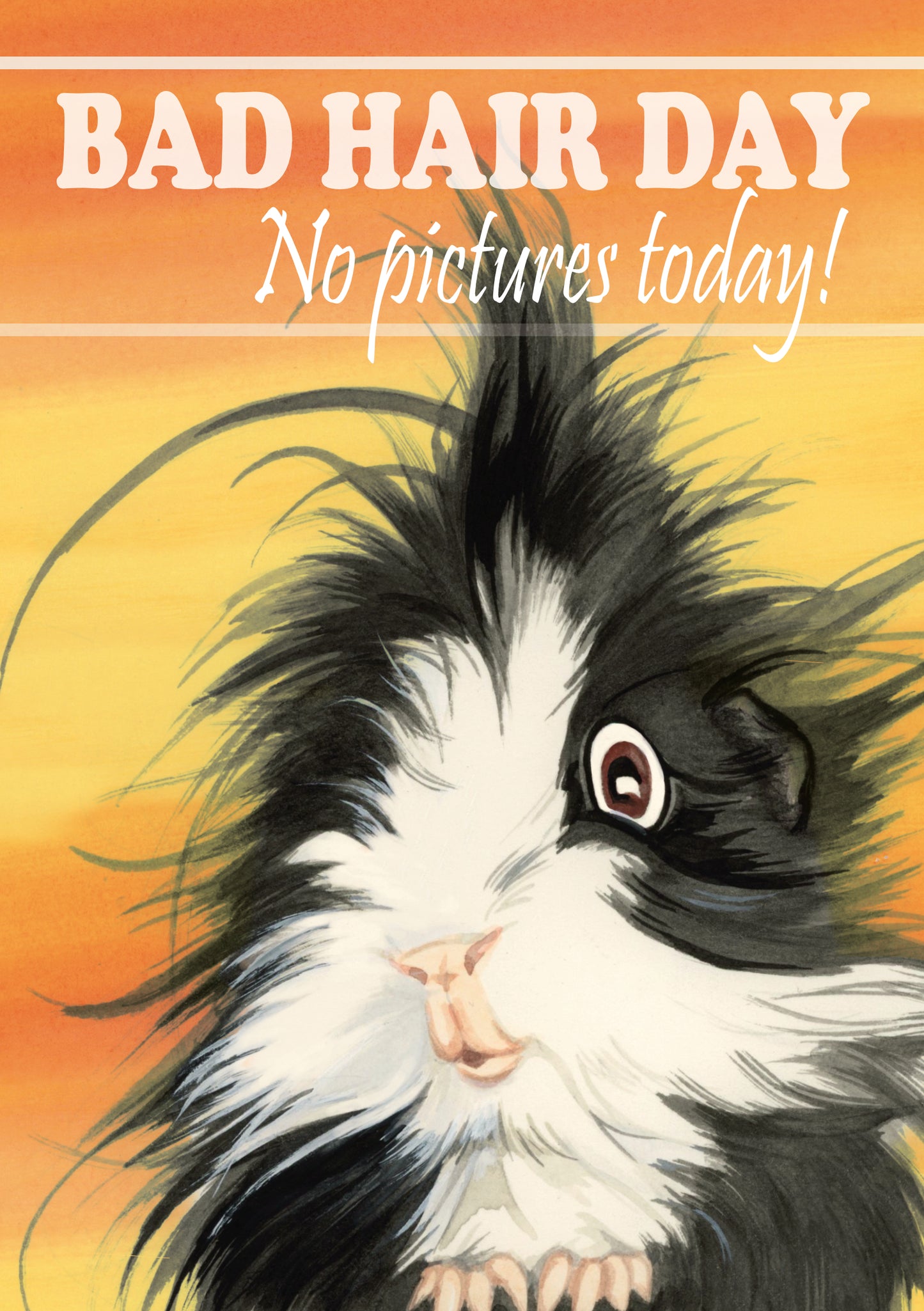 T-shirt "Bad Hair Day - No pictures today!"