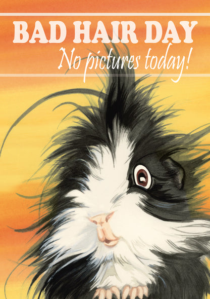 T-shirt "Bad Hair Day - No pictures today!"