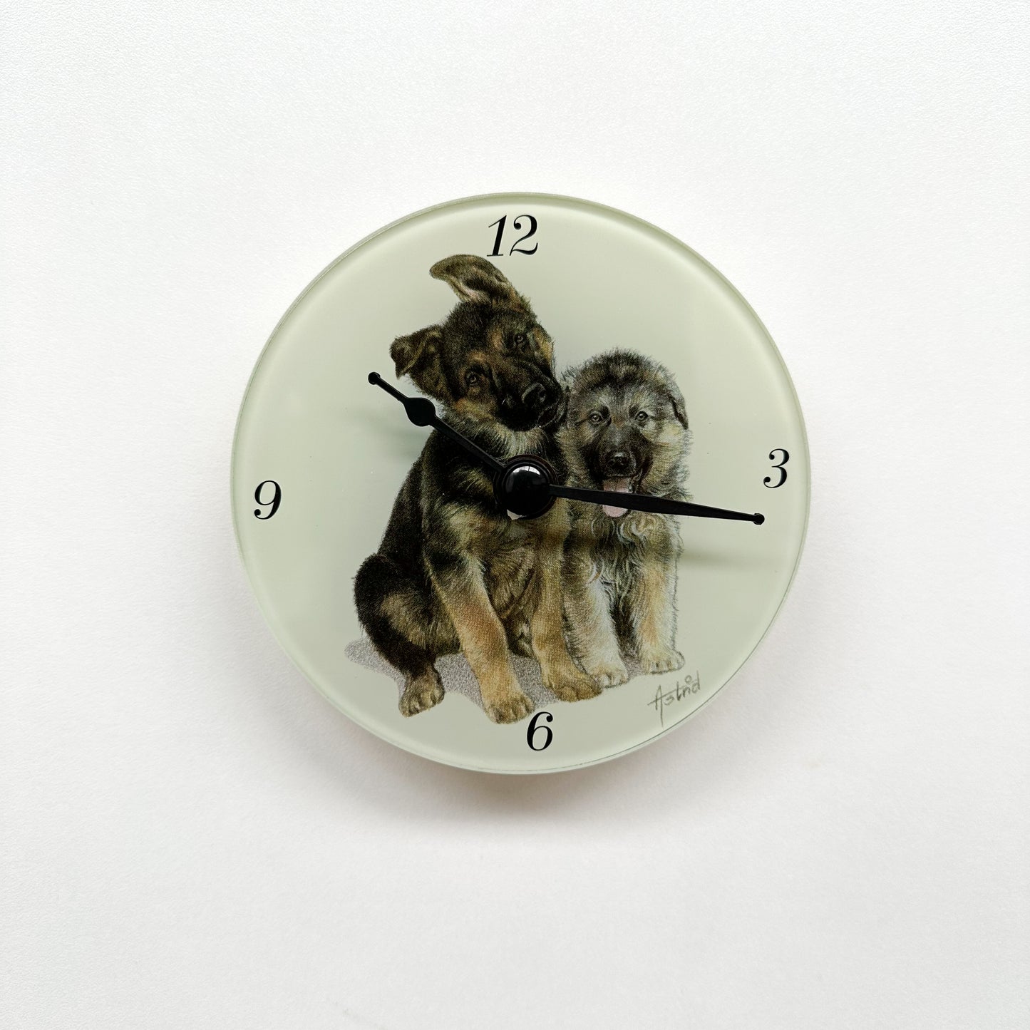 Klok Herderpup