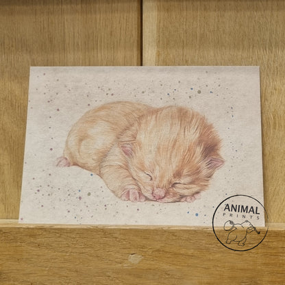 Kraftkaart A6 formaat (ansichtkaart) - kaart nummer 8 - Kitten rood (per 5 stuks)
