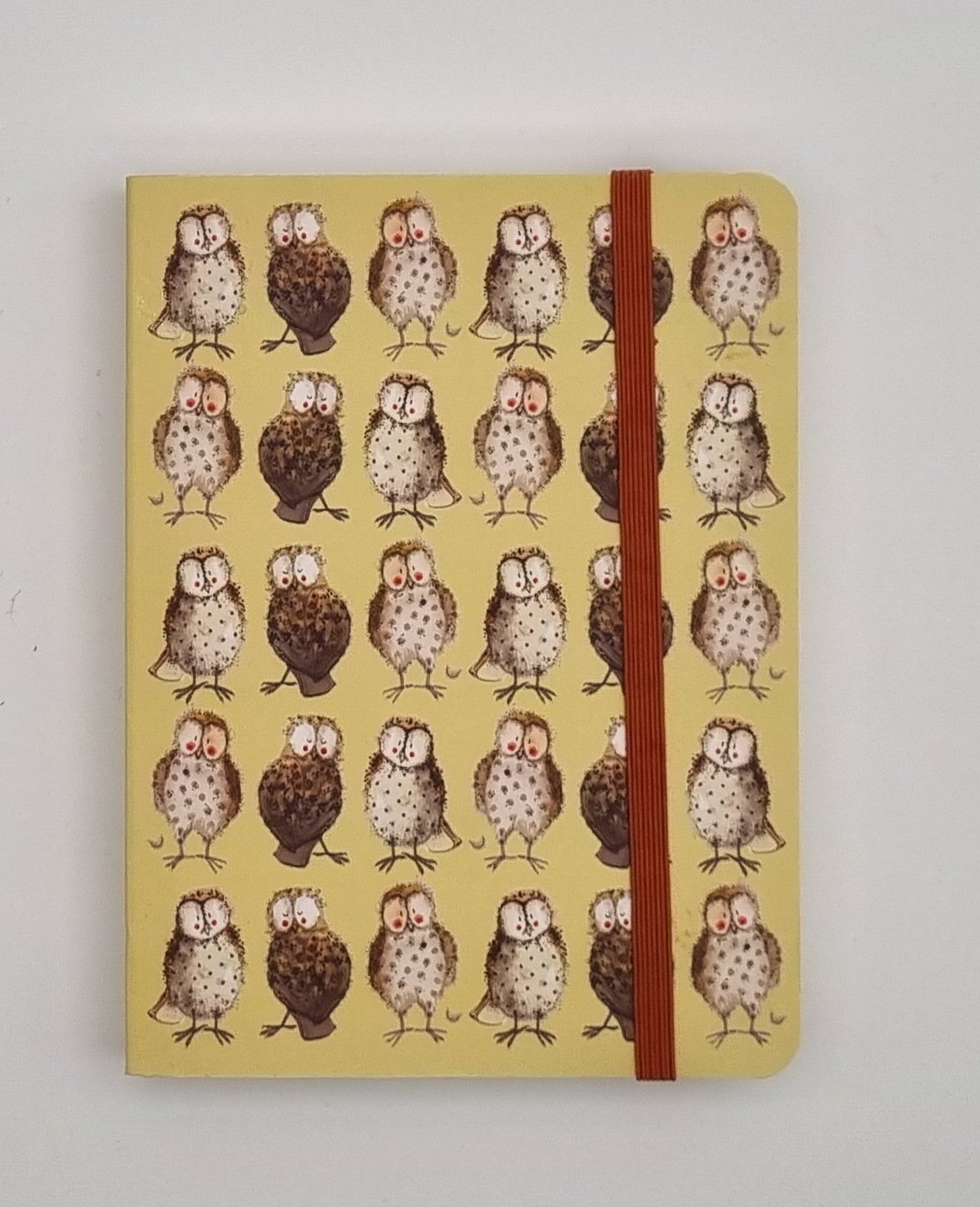 Alex Clark Collection - Notebooks 8