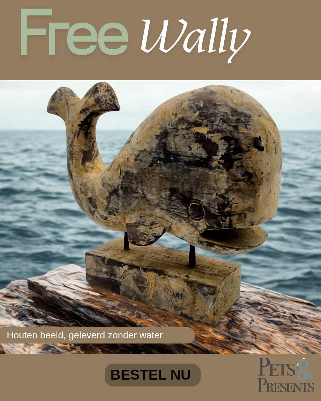 Houten beeld - Walvis