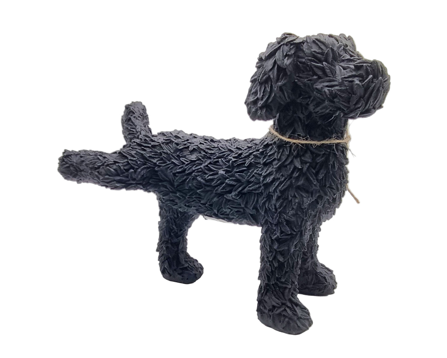 Beeld van plassende Labradoodle