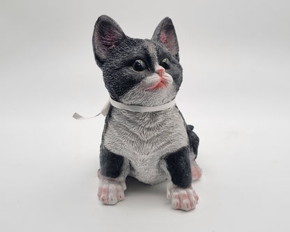 Kattenbeeldje - Zwart witte kat / kitten