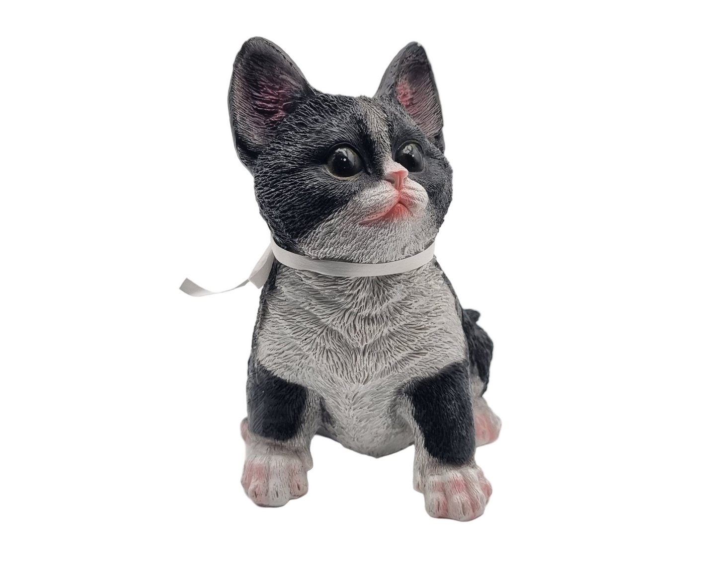 Kattenbeeldje - Zwart witte kat / kitten