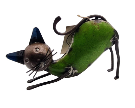 Blikken beeld van (krolse) kat