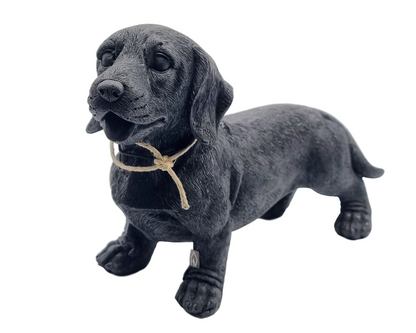 Teckel beeld in het zwart