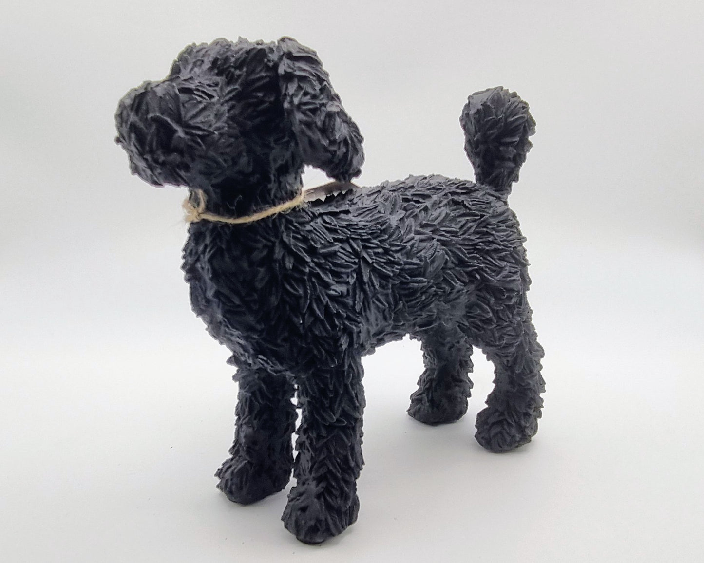 Beeld van Labradoodle (zwart en staand)