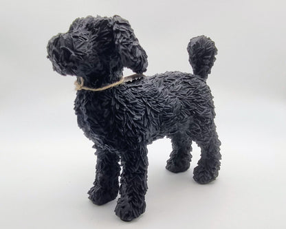 Beeld van Labradoodle (zwart en staand)