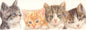 Schmale Karten - Katzencollage 1 