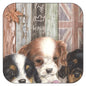 Untersetzer für 3 Cavalier King Charles Spaniels