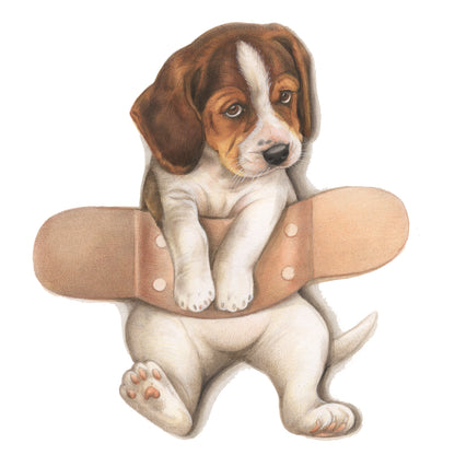 Vierkante kaart - Pleister over Beagle - Beterschap (honden print)