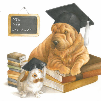 Vierkante kaart - Geslaagd, de studie zit er voorlopig even op.... (Sharpei)