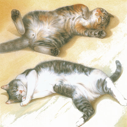 Vierkante kaart - Lekker even luieren, niets om je voor te schamen. (katten print)