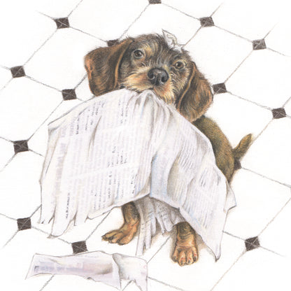 Quadratische Karte – Immer auf dem Laufenden mit allen Neuigkeiten (Dackel / Dachshund)